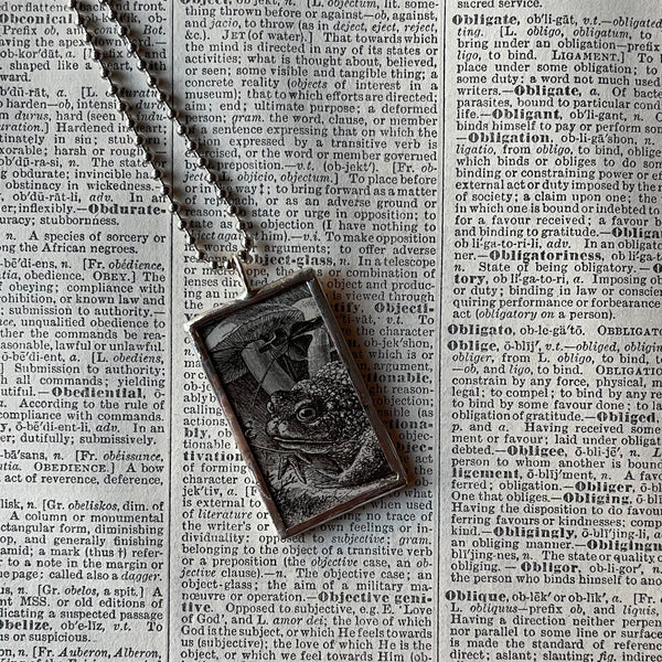 1 Frog, toad, mushroom vintage 1900 book illustrations up-cycled to soldered glass pendant