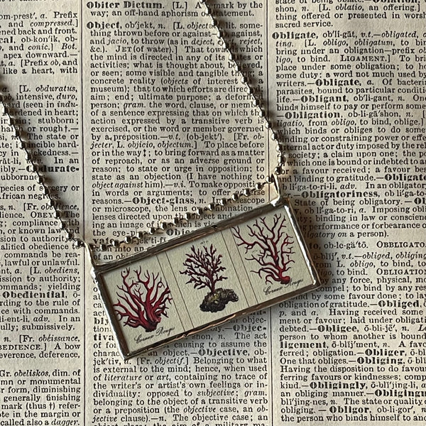 1 Coral, sea stars, starfish, vintage 1930s dictionary illustration, upcycled to hand soldered glass pendant
