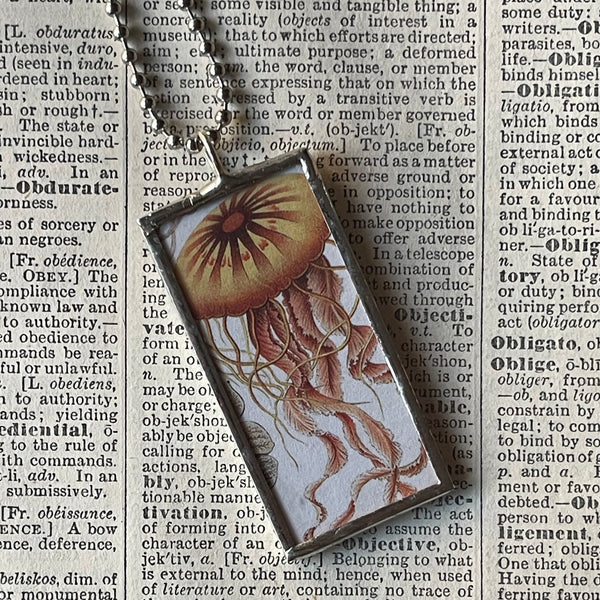 1 Jellyfish - vintage natural history illustration up-cycled to soldered glass pendant