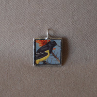 Vermillion flycatcher, scott's oriole illustrations, upcycled to hand-soldered glass pendant