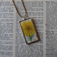 1 Adonis flower, yellow and orange flowers, natural history botanical illustrations, up-cycled to soldered glass pendant