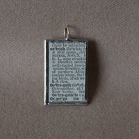 Osterich, vintage 1930s dictionary illustration, upcycled to soldered glass pendant