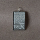 Osterich, vintage 1930s dictionary illustration, upcycled to soldered glass pendant