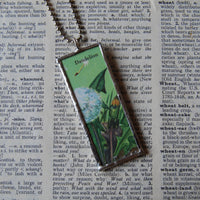 Dandelion, vintage botanical illustration, upcycled to hand-soldered glass pendant