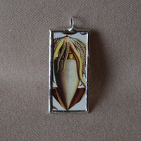 Giant squid, red coral, vintage illustrations, up-cycled to soldered glass pendant