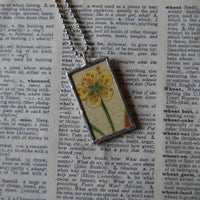 Lily, peach blossom flowers vintage botanical illustration, upcycled to hand-soldered glass pendant