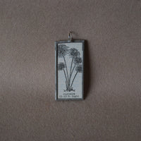 Papyrus plant, vintage botanical dictionary illustration, upcycled to soldered glass pendant