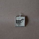 1 Cuckoo bird, vintage 1930s dictionary illustration, upcycled to soldered glass pendant