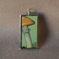1Mushroom and fungus, vintage natural history illustrations up-cycled to soldered glass pendant