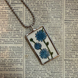 Bee, clover, chicory botanical illustrations, up-cycled to soldered glass pendant
