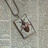 Beetles, vintage 1940s vintage field guide illustrations, up-cycled to soldered glass pendant