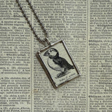 Wild and cultivated roses, vintage botanical dictionary illustration, upcycled to soldered glass pendant