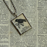 Starling, vintage 1930s dictionary illustration, hand-soldered glass pendant
