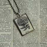 Peony flower, vintage botanical dictionary illustration, upcycled to soldered glass pendant