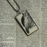 Owl, waterfowl, vintage children's book illustrations, up-cycled to soldered glass pendant