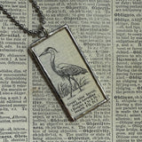 Great Blue Heron, vintage 1930s dictionary illustration, hand-soldered glass pendant
