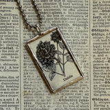 Dahlia flower, vintage botanical dictionary illustration, upcycled to soldered glass pendant
