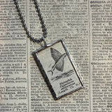 Flying fish - vintage 1930s dictionary illustration up-cycled to soldered glass pendant