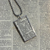 Flying fish - vintage 1930s dictionary illustration up-cycled to soldered glass pendant