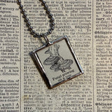 Mushroom / fungus, vintage natural history illustrations up-cycled to soldered glass pendant