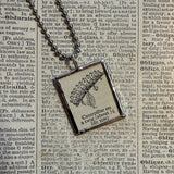 Caterpillar vintage dictionary illustration, up-cycled to soldered glass pendant