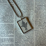 Fern fronds, vintage botanical dictionary illustration, upcycled to soldered glass pendant