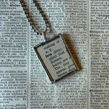 Fern fronds, vintage botanical dictionary illustration, upcycled to soldered glass pendant