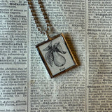 Pear, vintage botanical dictionary illustration, upcycled to soldered glass pendant