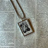 Gourds, vintage botanical dictionary illustration, upcycled to soldered glass pendant