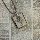 Thistle vintage botanical dictionary illustration, upcycled to soldered glass pendant