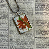 Orchid and poinsettia, vintage natural history illustrations up-cycled to soldered glass pendant