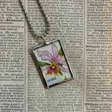 Orchid and poinsettia, vintage natural history illustrations up-cycled to soldered glass pendant