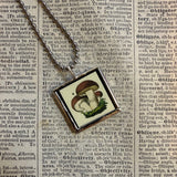 Mushroom and fungus, vintage natural history illustrations up-cycled to soldered glass pendant