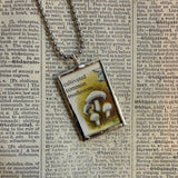 Mushroom / fungus, vintage natural history illustrations up-cycled to soldered glass pendant