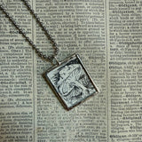 Mushroom / fungus, vintage natural history illustrations up-cycled to soldered glass pendant