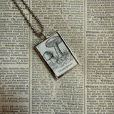 Mushroom / fungus, vintage natural history illustrations up-cycled to soldered glass pendant