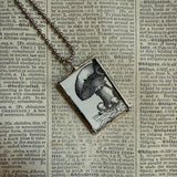 Mushroom / fungus, vintage natural history illustrations up-cycled to soldered glass pendant
