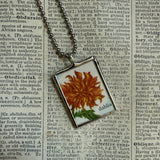 Chrysanthemum and dahlia flowers vintage natural history illustrations up-cycled to soldered glass pendant