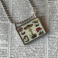 Mushrooms and fungus, vintage natural history illustrations up-cycled to soldered glass pendant