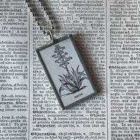 Agave plant, tequila, vintage botanical dictionary illustration, upcycled to soldered glass pendant