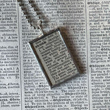 Skunk, vintage 1940s dictionary illustration, up-cycled to hand-soldered glass pendant