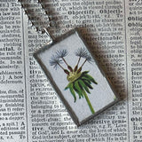 Dandelion, original illustrations from vintage children's book, up-cycled to soldered glass pendant