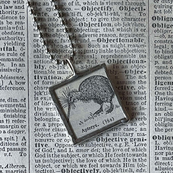 Kiwi bird, apertyx, vintage 1930s dictionary illustration, upcycled to soldered glass pendant