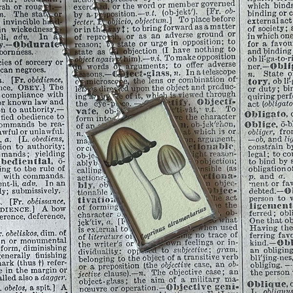 Mushroom and fungus, vintage natural history illustrations up-cycled to soldered glass pendant