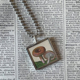 Mushroom and fungus, vintage natural history illustrations up-cycled to soldered glass pendant