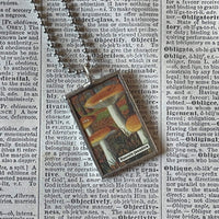 Mushroom and fungus, vintage natural history illustrations up-cycled to soldered glass pendant