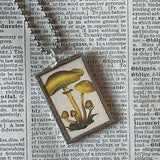 Mushroom and fungus, vintage natural history illustrations up-cycled to soldered glass pendant