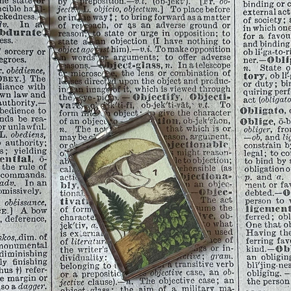 Mushroom and fungus, vintage natural history illustrations up-cycled to soldered glass pendant