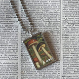 Mushroom and fungus, vintage natural history illustrations up-cycled to soldered glass pendant