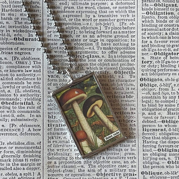 Mushroom and fungus, vintage natural history illustrations up-cycled to soldered glass pendant